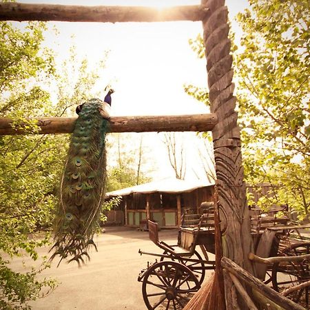 Bamboo Lodge Groningen Eksteriør bilde