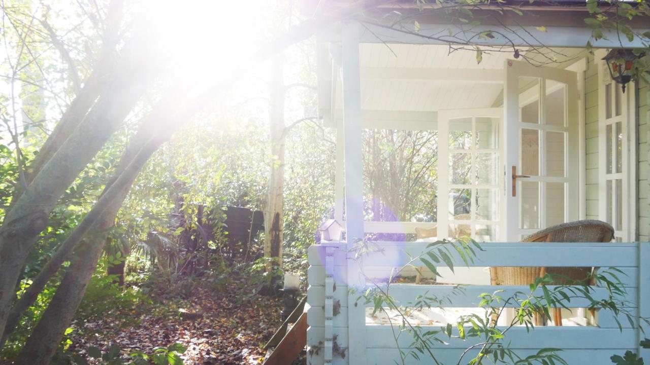 Bamboo Lodge Groningen Eksteriør bilde