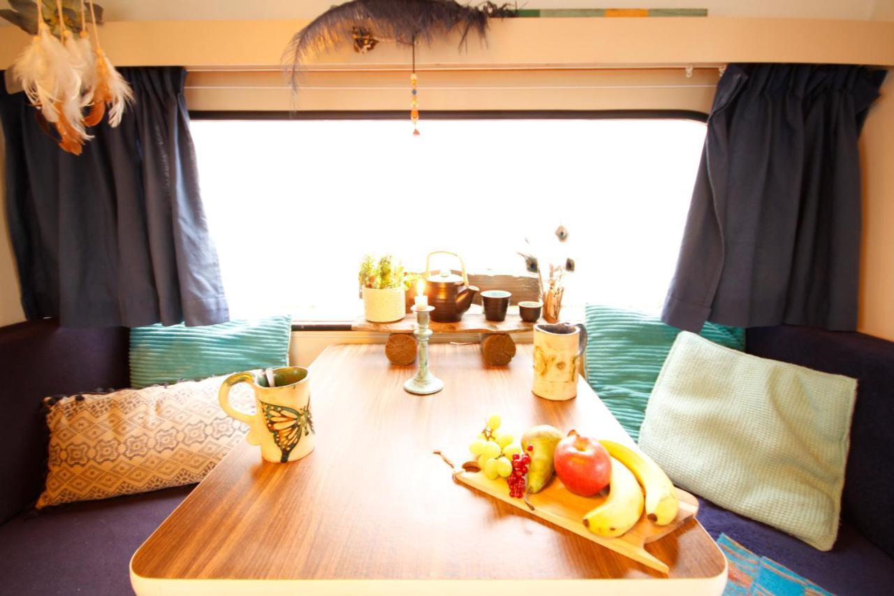 Bamboo Lodge Groningen Eksteriør bilde
