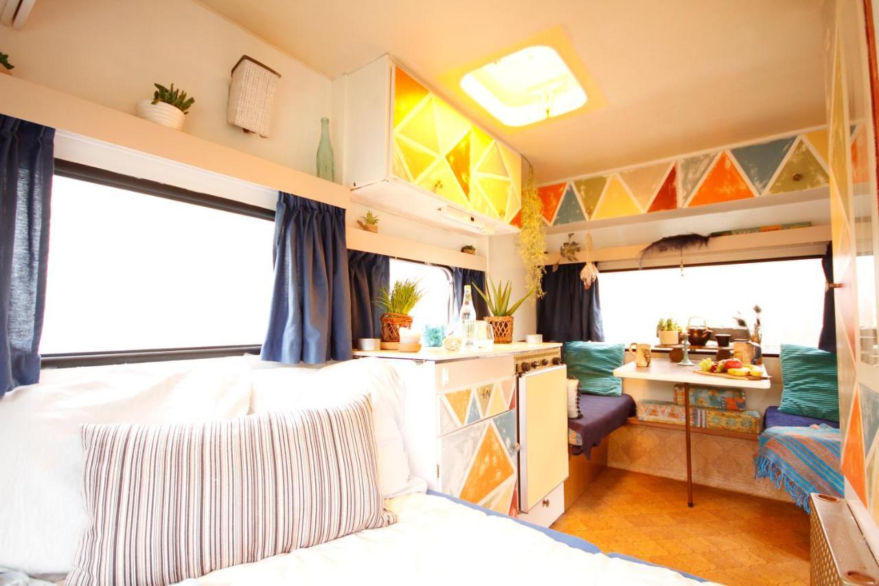 Bamboo Lodge Groningen Eksteriør bilde