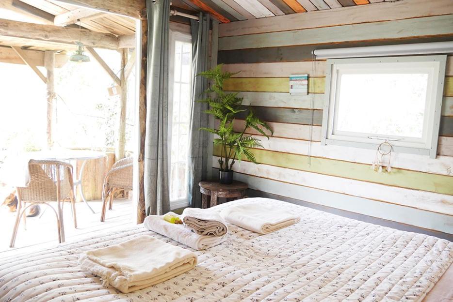 Bamboo Lodge Groningen Eksteriør bilde