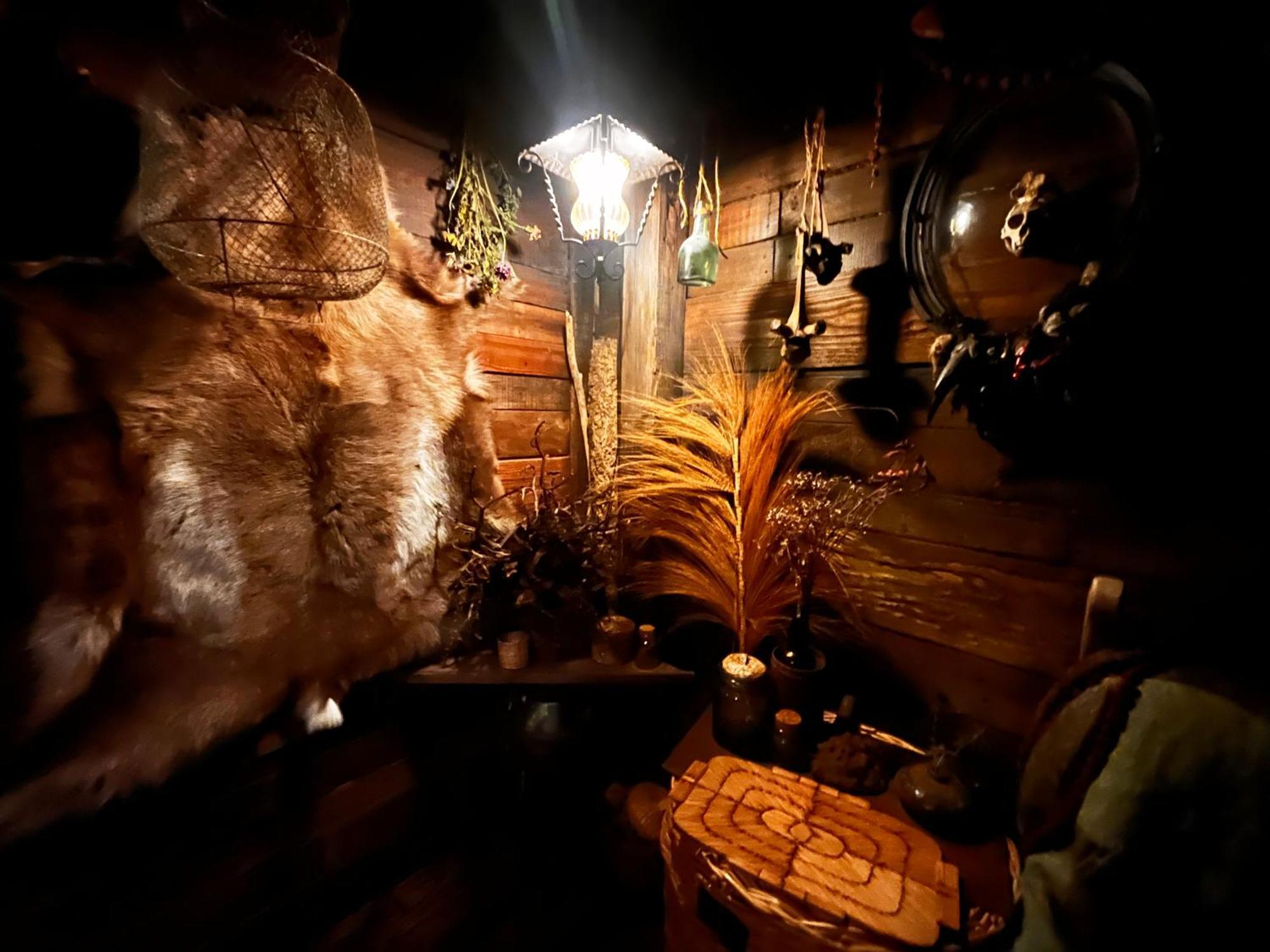 Bamboo Lodge Groningen Eksteriør bilde